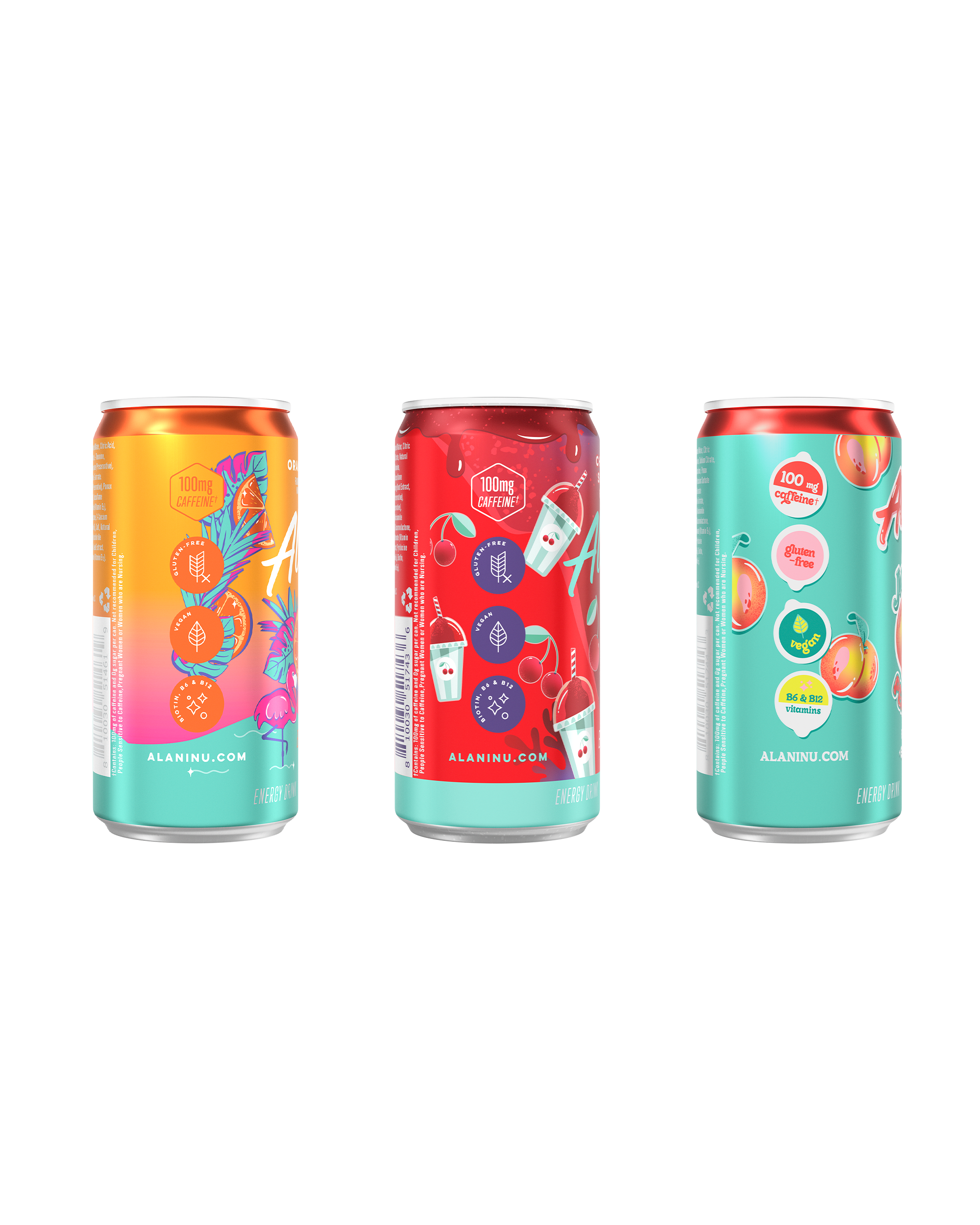 Mini Energy - Variety Pack (BBQN)